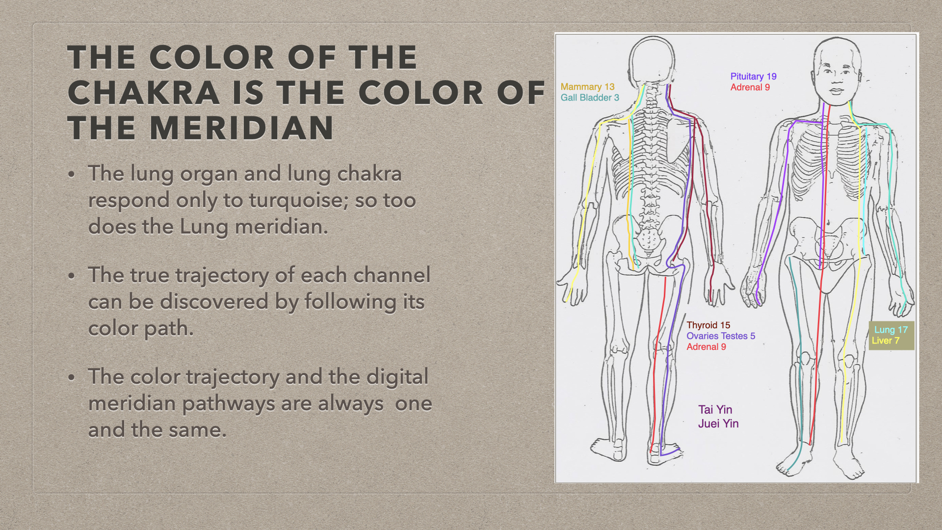 the color of meridians